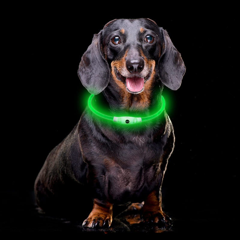 Larkumio Luminous Dog Collar Rechargeable LED Dog Collar Luminous, Dog Collar with Adjustable Length for Small Large Dogs Cats, Puppy Collar Dog Collar Waterproof with 4 Modes, Multicolored - PawsPlanet Australia