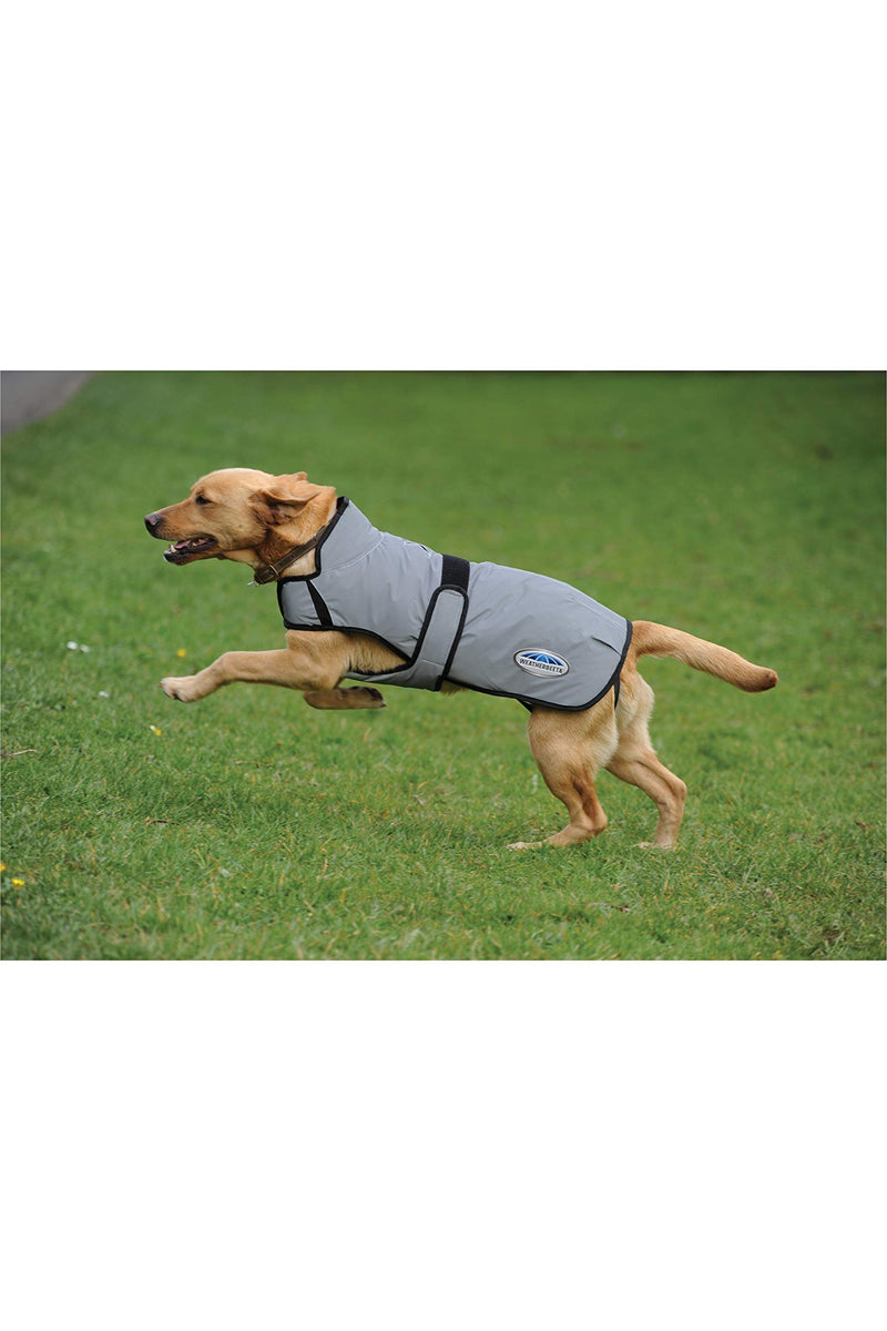 Weatherbeeta Comfitec Reflective Dog Coat Medium - Silver 50CM - PawsPlanet Australia