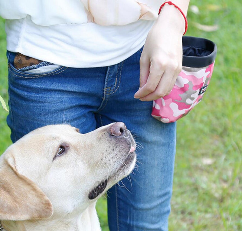 Diyafas Camouflage Pet Dog Activity Treat Pouch Snack Bag Puppy Training Walking Poop Bag Holder Dispenser Pink - PawsPlanet Australia
