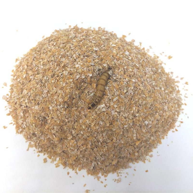 E-Z Botanicals a Division of DBDPet Mealworm & Superworm Bedding - Ideal Substrate for Storing Meal Worms and Super Worms - 1 Quart - PawsPlanet Australia