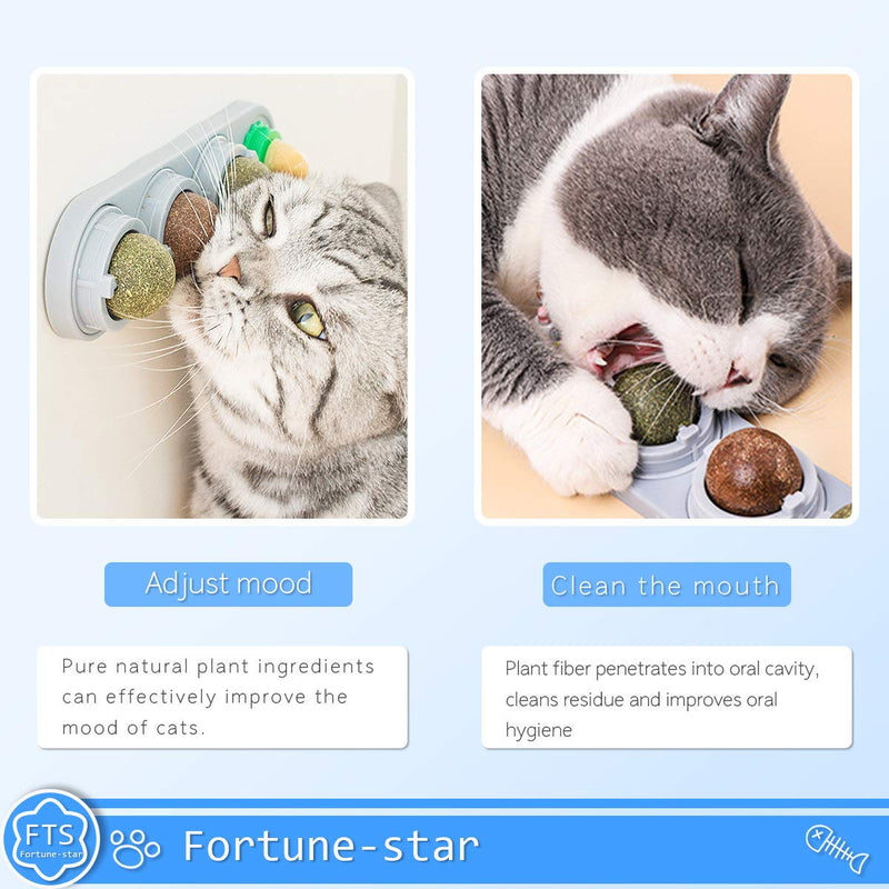 Fortune-star Catnip Wall Ball Cat Toys Catnip Edible Licking Balls Snack Natural Healthy Rotatable Treats Toys Kitten Playing Chewing Cleaning Teeth Toy - PawsPlanet Australia