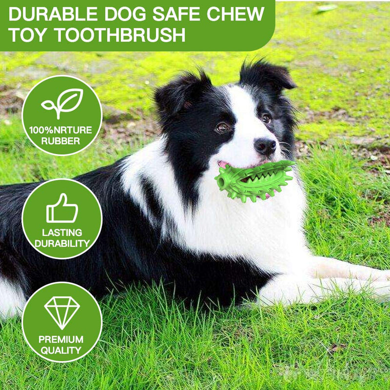 Dog Chew Toy Toothbrush Teeth Cleaning Toy 2020 New Upgraded |Cactus Shaped Indestructible Tough Interactive Dog Toy | Dog Rope Toy for Small, Large Dogs and Aggressive Chewers green - PawsPlanet Australia