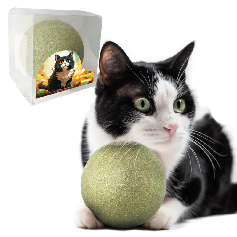 3.94 Inches Huge Catnip Ball for Cats -Big Cat Toys for Indoor Cats -Giant Cat Nip Balls Large- Large Lick Safe Healthy Kitten Chew Toys - Jumbo Kitty Teeth Cleaning Dental Toys - PawsPlanet Australia
