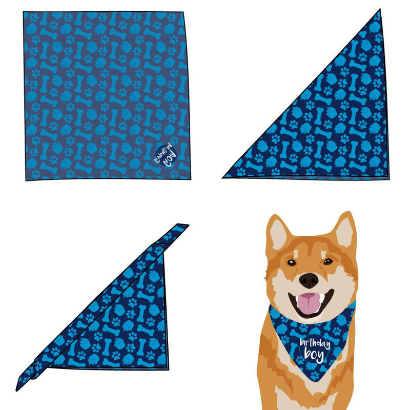 [Australia] - hecho Dog Birthday Bandana - Boy 