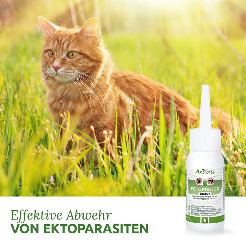 AniForte Ectoprotex cat - Spot On for cats, Tick protection & parasite repellent, Long lasting repellent for ticks, fleas, mites, Effective protection against ticks, Easy application - 50ml - PawsPlanet Australia