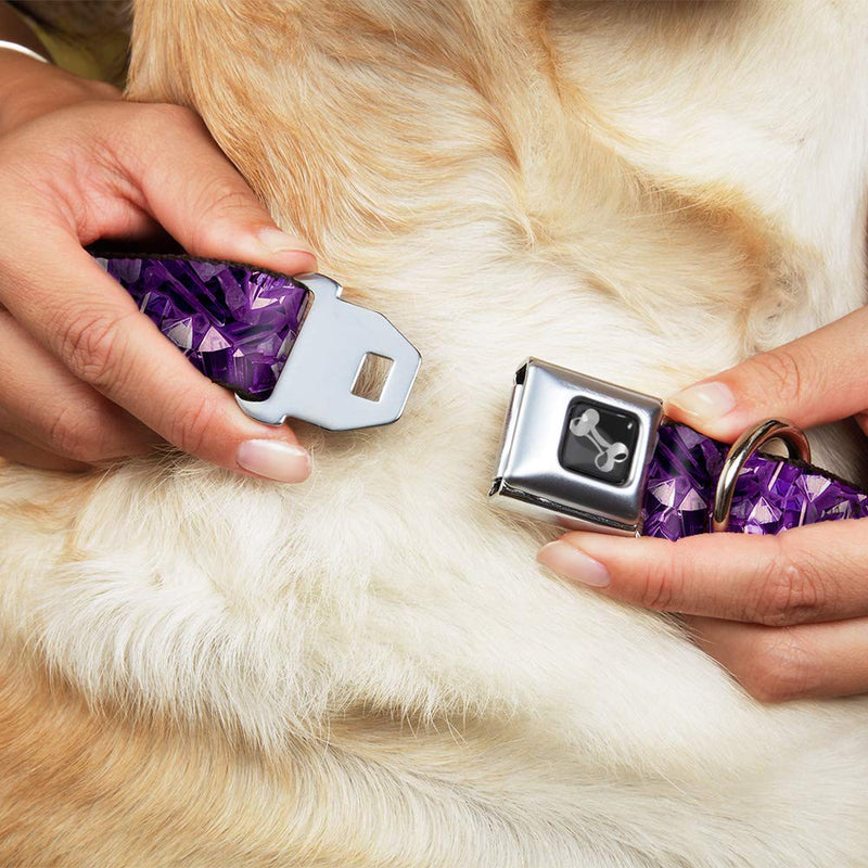 [Australia] - Buckle-Down Seatbelt Buckle Dog Collar - Crystals Purples 1" Wide - Fits 15-26" Neck - Large 