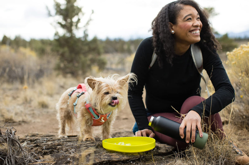 RUFFWEAR Camp Flyer Dog Toy, 2-in-1 Flexible & Puncture-Resistant Throw Catch Flying Disc and Bowl for Pets, Outdoor Long Distance Game Designed Specially for Dogs, Waterproof & Safe, Lichen Green - PawsPlanet Australia