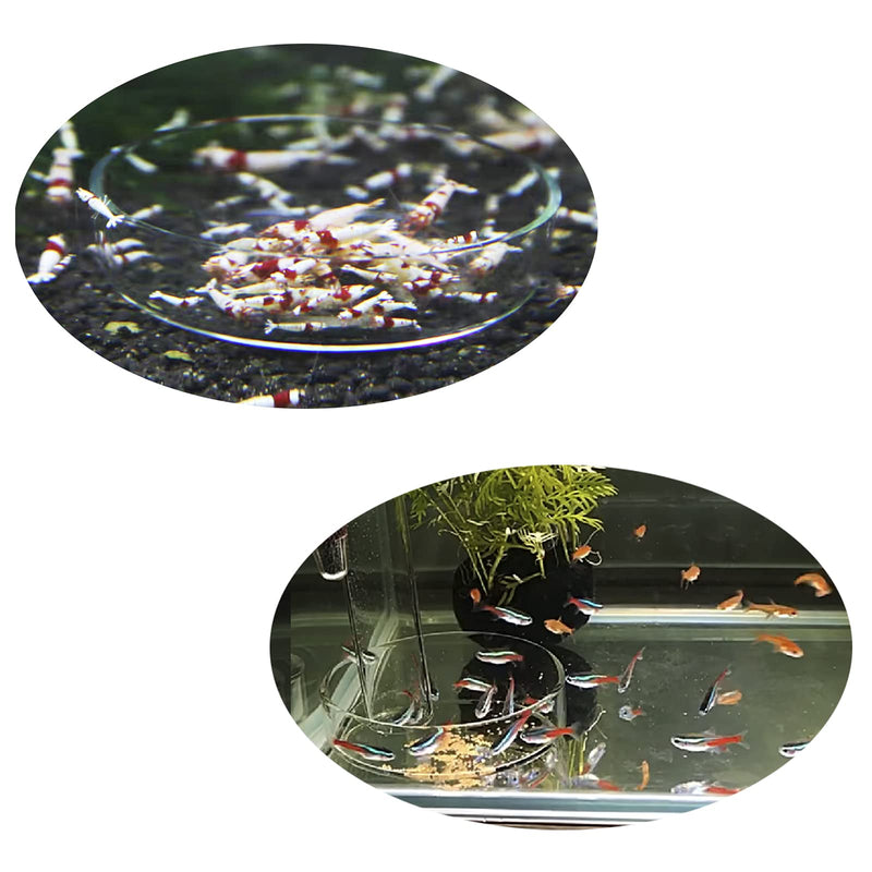 IAFVKAI 2pcs Aquarium Shrimp Feeding Dish Glass Water Food Tray Feed Bowls 60mm 65mm Round Clear Fish Feeder Cup for Shrimp Fish Tank - PawsPlanet Australia