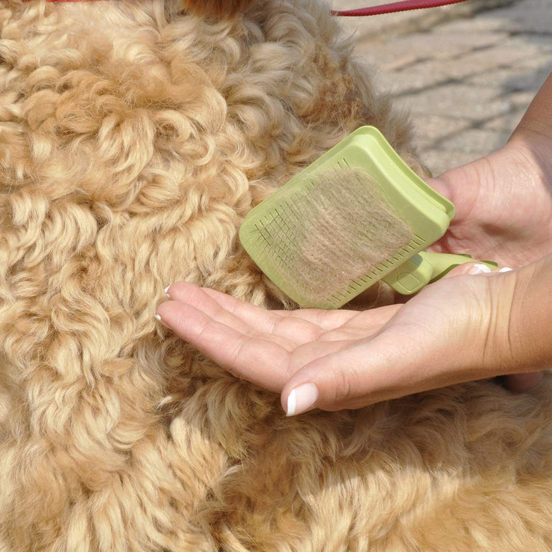 [Australia] - Safari Self-Cleaning Slicker Brush for Dogs Medium 