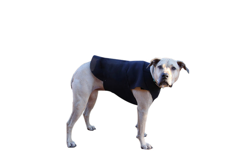 Healers Dog Anxiety Therapeutic Multi Use Wrap Rear Module Medium - PawsPlanet Australia