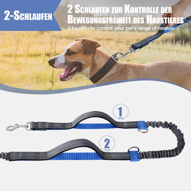 Snocyo jogging leash for dogs, jogging dog leash for medium and large dogs, elastic and reflective dog leash, retractable running leash with double handle and waist belt for one dog, gray and royal blue - PawsPlanet Australia