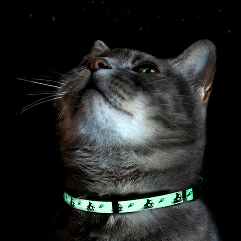 Pawtitas Glow In The Dark Cat Collar with Safety Buckle and Removable Bell Cat Collar Kitten Collar Green Cat Collar Glow In The Dark 🌟 Green - PawsPlanet Australia