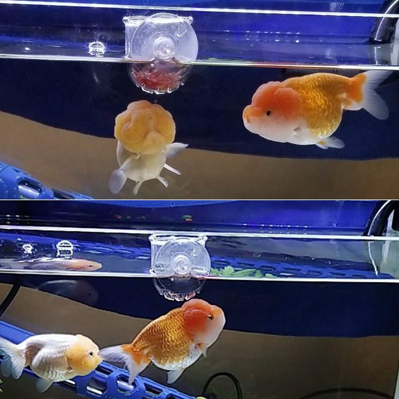 [Australia] - WEAVERBIRD Aquarium Glass Cone Feeder Red Worm Fish Tank Plant Shrimp Feeder Fish Feeding Cup 