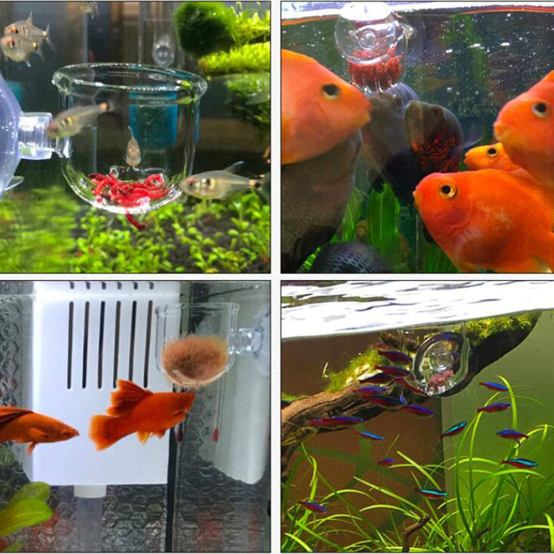 [Australia] - Ailinda Aquarium Glass Feeding Cone Cup Plant Cup Brine Shrimp Live Red Worm Fish Feeder for Aquariums with Suction 