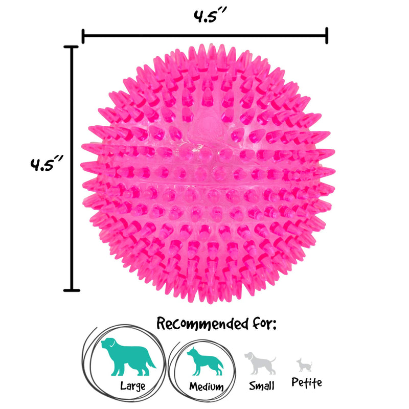 [Australia] - Gnawsome 4.5” Spiky Squeaker Ball Dog Toy - Extra Large, Cleans Teeth and Promotes Good Dental and Gum Health for Your Pet, Colors will vary 