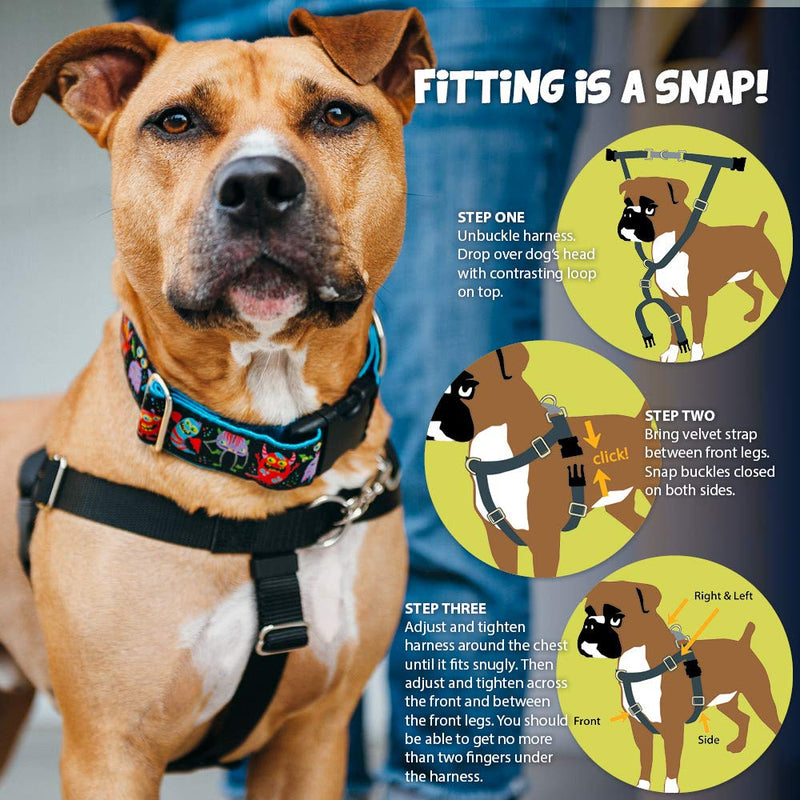[Australia] - 2 Hounds Design Freedom No-Pull Dog Harness and Leash, Adjustable Comfortable Control for Dog Walking, Made in USA (XSmall 5/8") (Turquoise) 