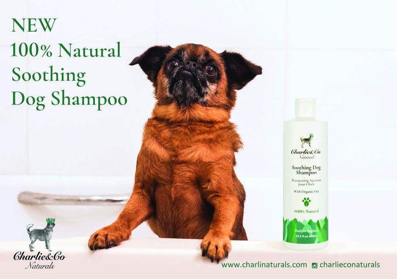 Charlie & Co Naturals 100% Natural Soothing Dog Shampoo - PawsPlanet Australia