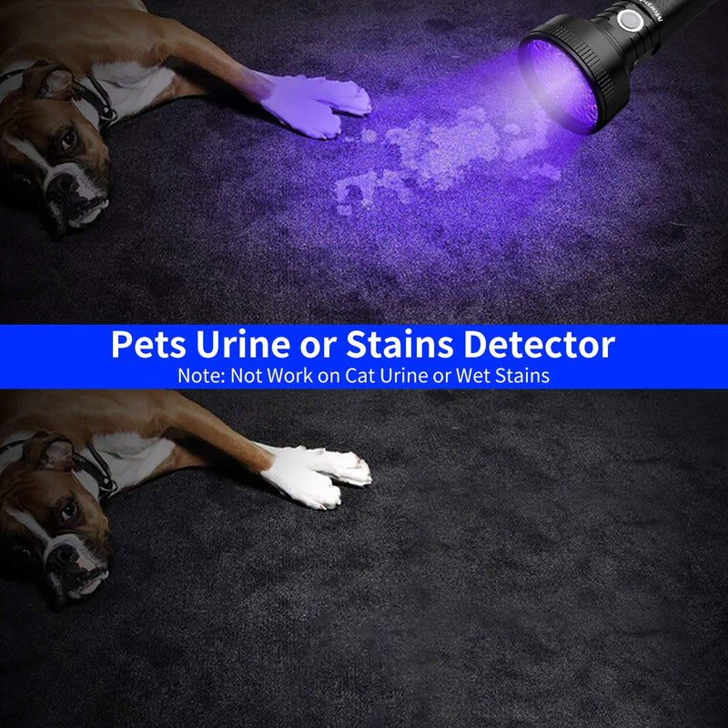 [Australia] - Black Light, morpilot 51 LED UV Flashlight Rechargeable Blacklight Torch Light Pet Urine Detector for Dry Dog Urine, Pet Stains, Verifying Money Documents, Battery Included 