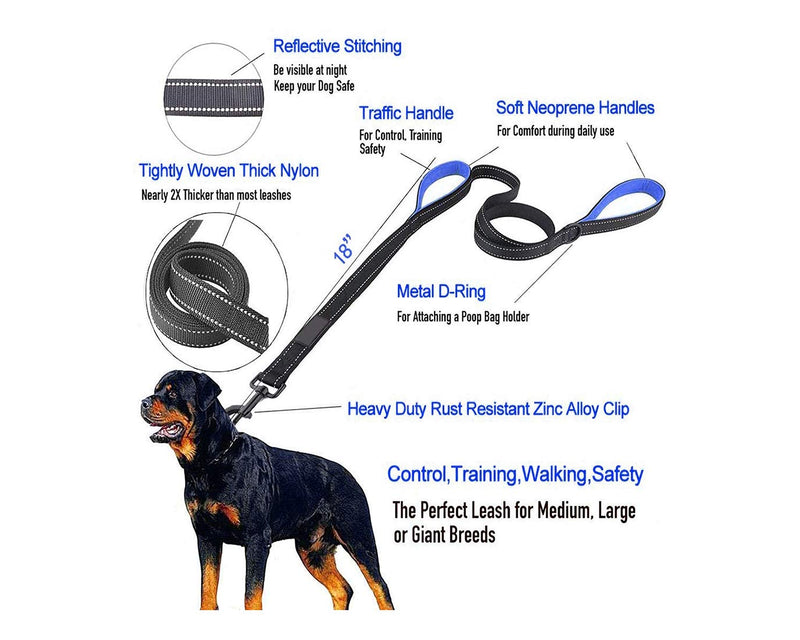 [Australia] - INNOLI Heavy Duty Dog Leash,2 Padded Handles 6 Feet Long Dog Training Walking Leashes for Medium Large Dogs Black 