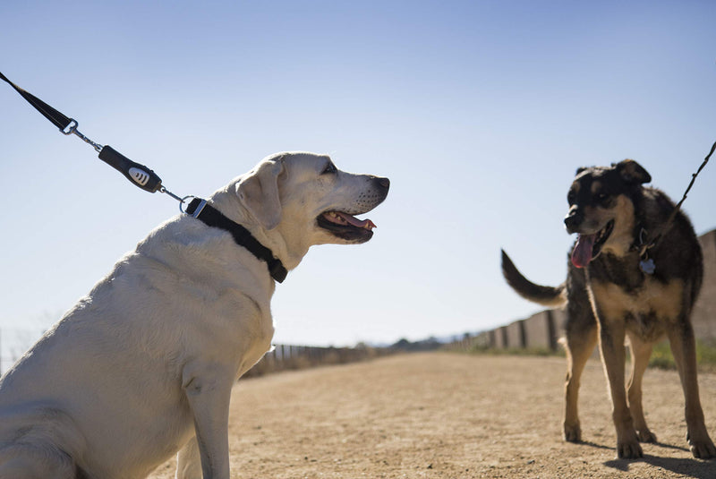 [Australia] - Sherpa Travel Dog Collars Harnesses and Leashes one size no pull lead 