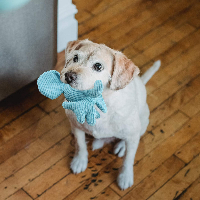 Squeaky Dog Toys for Puppy, Plush Stuffed Dogs Toy with Natural Cotton , Interactive Dog Toys for Small Pet to Cleaning Teeth (Blue elephant) Blue elephant - PawsPlanet Australia