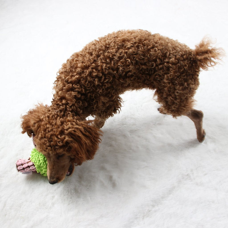 IFOYO Dog Plush Toy, Pet Dog Toy Tough Dog Squeaky Toy Cute Dog Teething Toy for Medium Small Dogs, Pig - PawsPlanet Australia