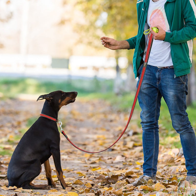 [Australia] - HiGuard Heavy Duty Reflective Dog Leash - 1.2m Reflective Strip with Comfortable Padded Handle - 6ft Long Dog Walking Leash for Large, Middle, Small Dogs Red 