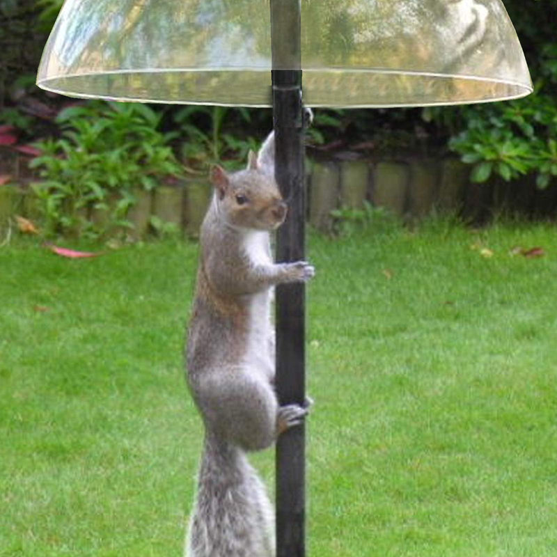 SPARES2GO Squirrel Baffle Dome Bird Feeding Station Feeder Guard (Complete Kit with Hanging Hook and Loop) - PawsPlanet Australia