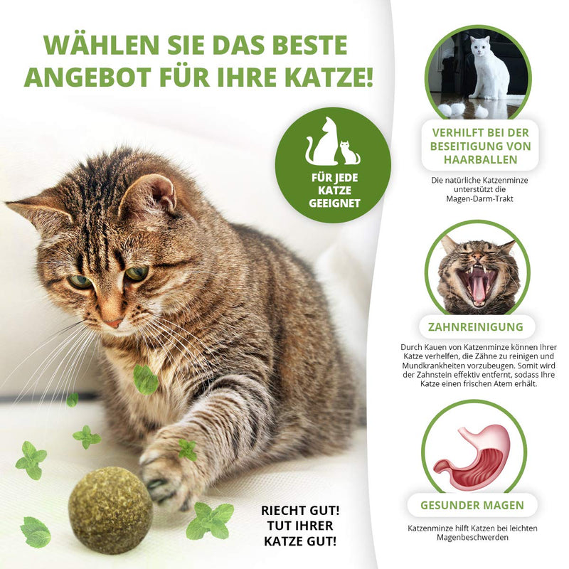 3x catnip ball | Natural product | Consists of 100% natural catnip | Relaxation for cats | Cat toys | Promotes the natural play instinct | Supports dental care | 1A quality - PawsPlanet Australia