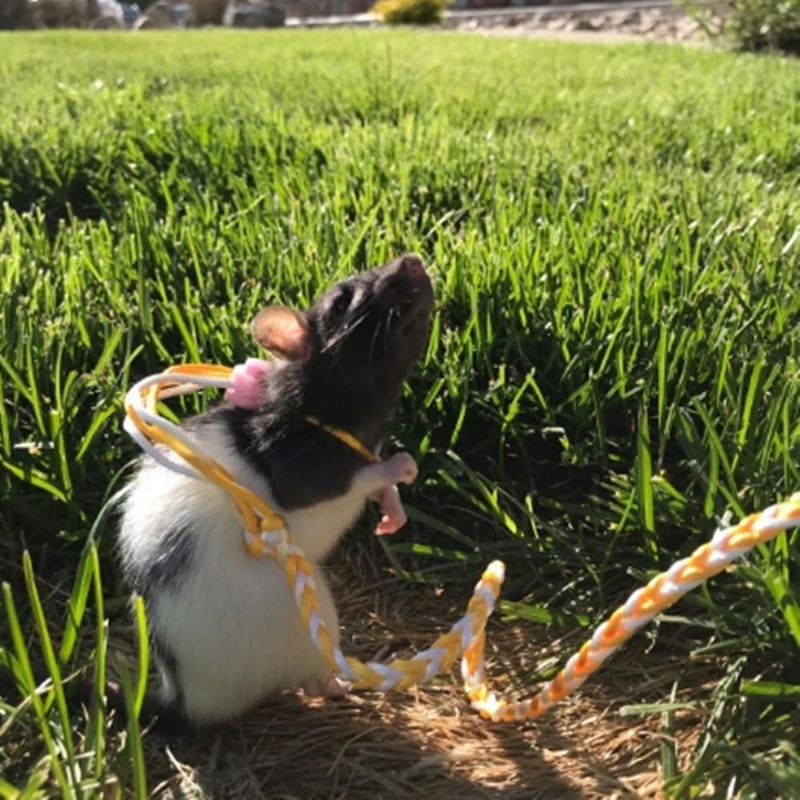 KHLZ US Adjustable Rat Leash Hamster Leash with Bell Harness for Ferret Mouse Squirrel Small Animal (Random) - PawsPlanet Australia