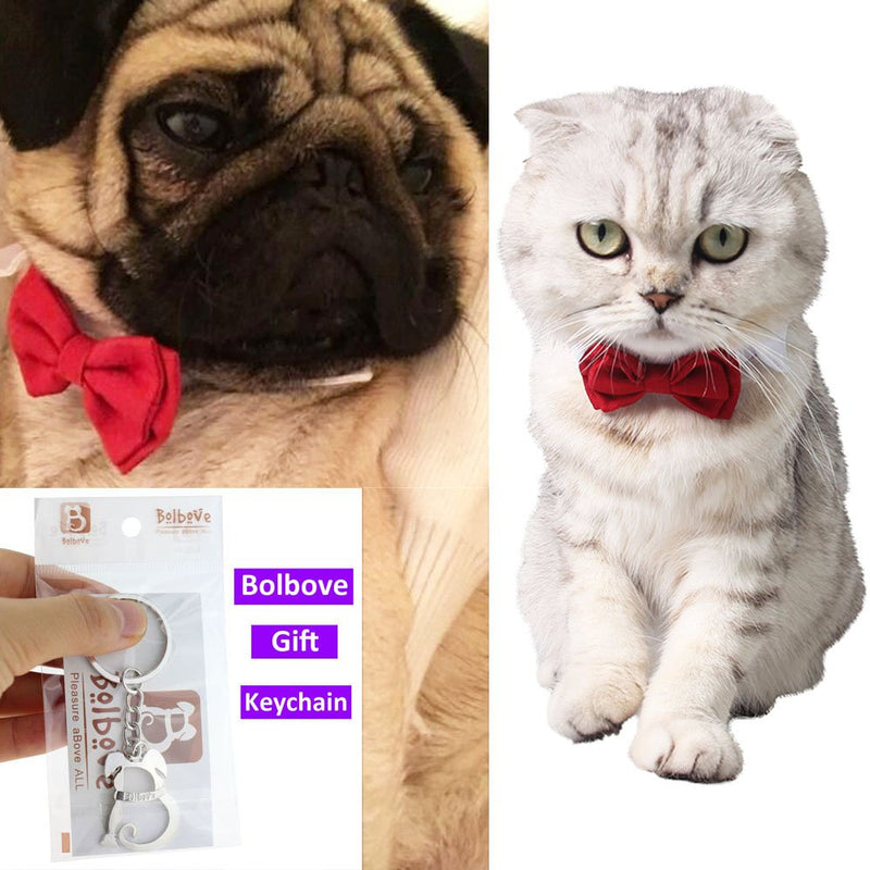 Bolbove Adjustable Formal Pet Bowtie Collar Neck Tie for Dogs & Cats Large Red - PawsPlanet Australia