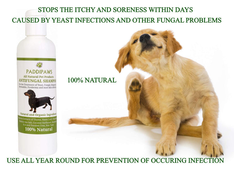 100% Natural Antifungal and Antibacterial Dog Shampoo - Yeast Infections, Ringworm, Dermatitis, Pyoderma - Safe - Natural - Paraben and SLS Free - 250ml - Larger bottle available from the store. - PawsPlanet Australia