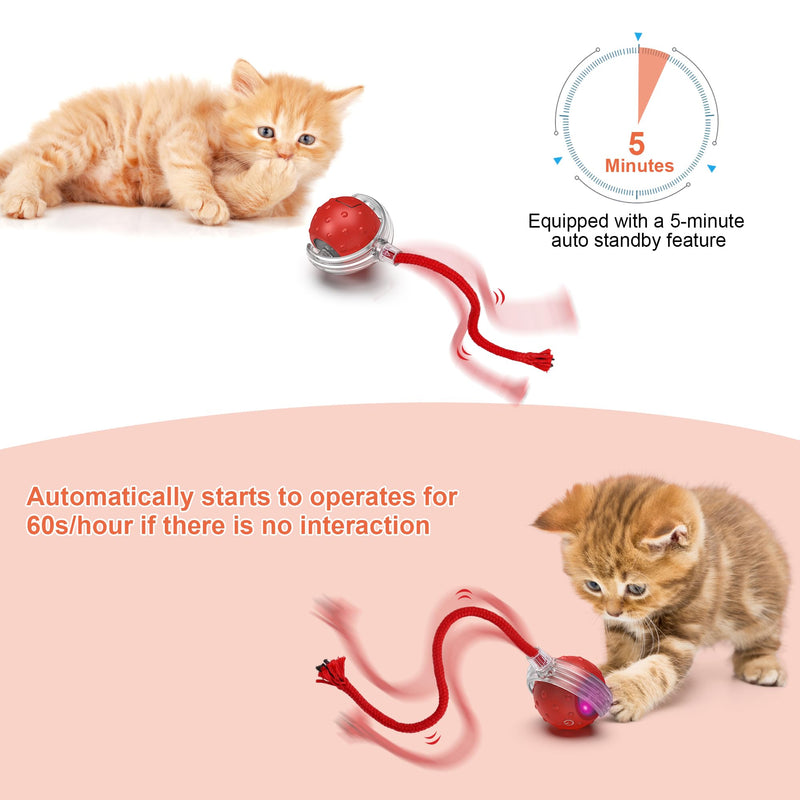 IOKHEIRA Interactive Cat Ball Toy Electric Automatic Cat Toy for Indoor Cats, Rechargeable Irregular Moving Cat Toy - PawsPlanet Australia