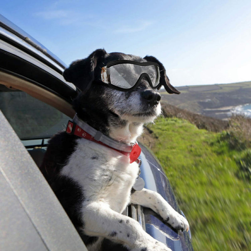 Trirock Dog Goggles and Sunglasses Prevention from ultraviolet UV rays for medium to large breeds pets for dogs w/Chin Strap - PawsPlanet Australia