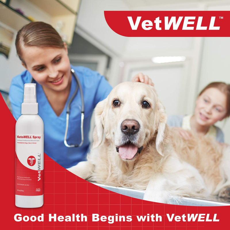 KetoWELL Chlorhexidine & Ketoconazole Medicated Spray for Dogs & Cats - Hot Spot Treatment, Skin Infections and Conditions, Acne - Aloe & Vitamin E - 8 oz - PawsPlanet Australia