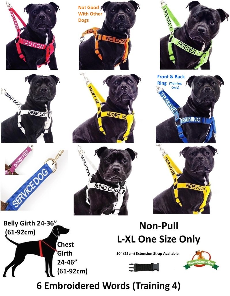 [Australia] - Dexil Limited Blind Dog White Color Coded Alert Warning L XL Non-pull Dog Harness Prevents Accidents By Warning Others of Your Dog in Advance 