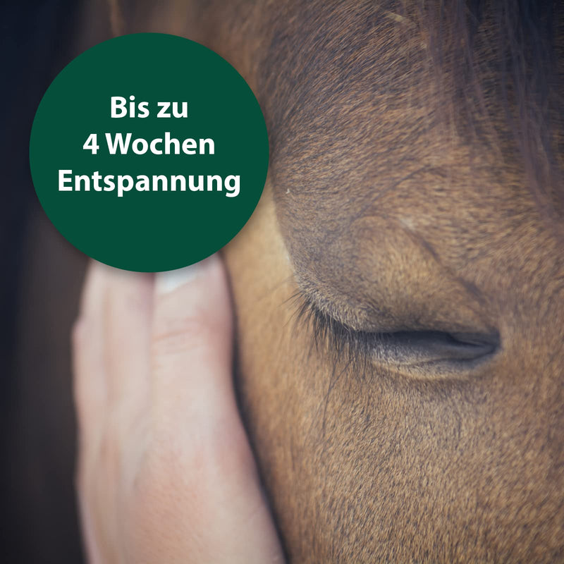 Equisept Calming Medallion Pack of 2 Innovative solution for calming horses With valerian & lavender Easy to attach to halter or bridle Naturally calming effect for up to 4 weeks - PawsPlanet Australia