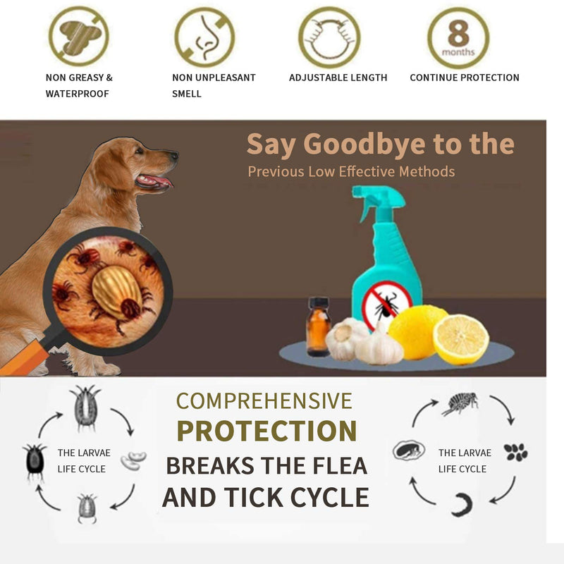 GREMAG Flea and Tick Collar for Dogs, 8 Month Effectiveness Protection Adjustable Dog Collar Tick and Flea Control Treatment with Flea Tick Comb for Small Medium Large Dogs & Puppies - PawsPlanet Australia