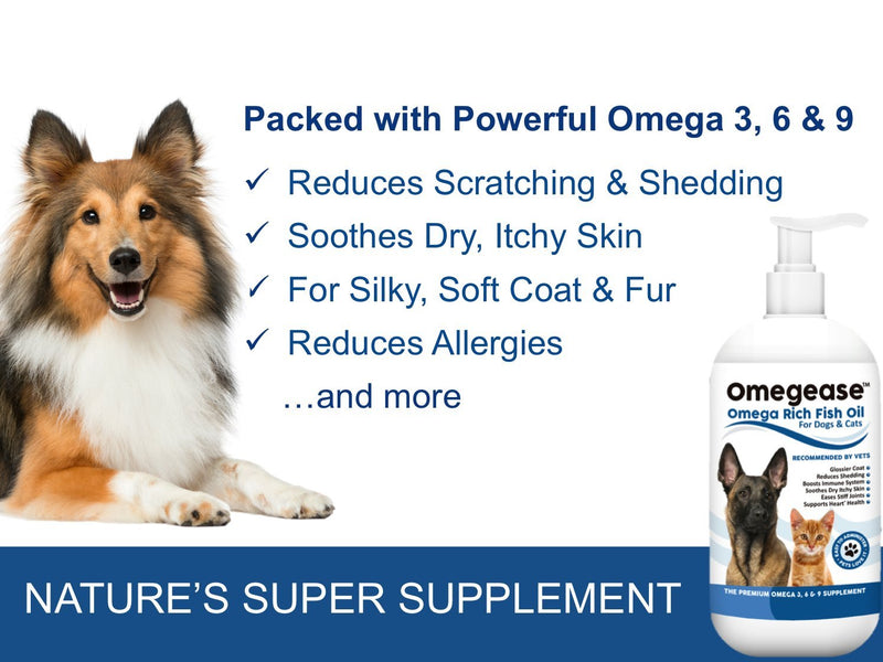 100% Pure Omega 3, 6 & 9 Fish Oil for Dogs and Cats - Best For Skin, Coat, Joint, Heart & Brain Health. Soothes Itches. From Wild Caught Fish - Better Source of DHA & EPA Than Farmed Scottish Salmon Oil. 500 ml (Pack of 1) - PawsPlanet Australia