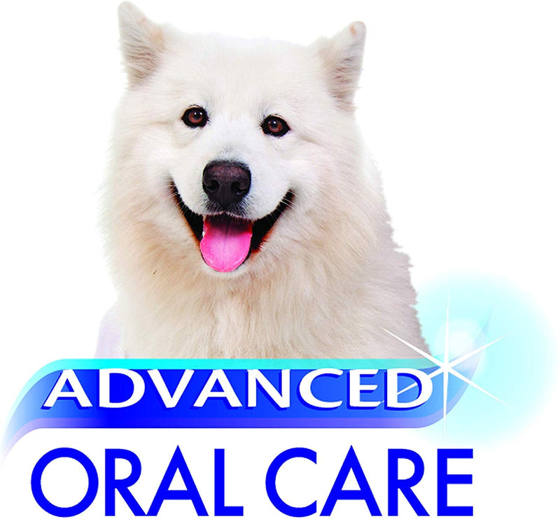 Nylabone Advanced Oral Care 2.5 oz Tartar Control Dog Toothpaste - PawsPlanet Australia