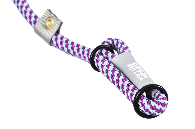Cesar Millan Nylon Training Lead (S/M, Aqua/Purple) Small / Medium - PawsPlanet Australia