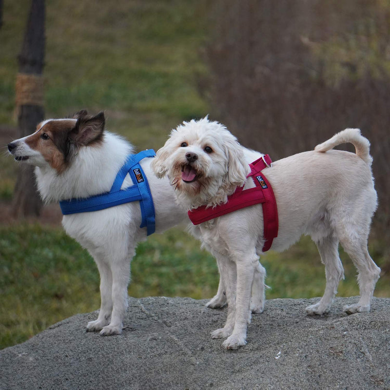 [Australia] - balbali Easy On and Off Dog Harness Gentle Lead Easy Control Dog Vest Harness with Padded Handle Adjustable Breathable Materials for Easy Walk with Large Small Dogs S Red 