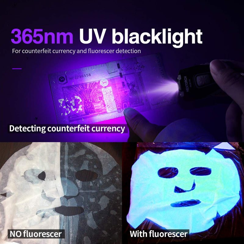 UV Flashlight, NEXTORCH Mini USB Rechargeable 365nm Blacklight Flashlight Keychain 2 in 1 UV Light & White Light Pocket Flashlight Pet Urine Detector Cat Dog Dry Stains Bed Bug Ultraviolet Flashlights - PawsPlanet Australia