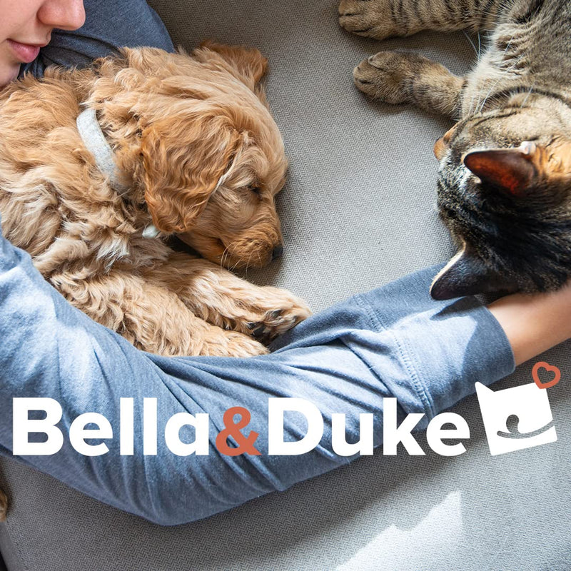 Bella & Duke Ticked Off 200ml - 100% natural tick and flea repellent - With apple cider vinegar, echinacea and garlic - Food supplement for parasite management - Made sustainably in the UK - PawsPlanet Australia