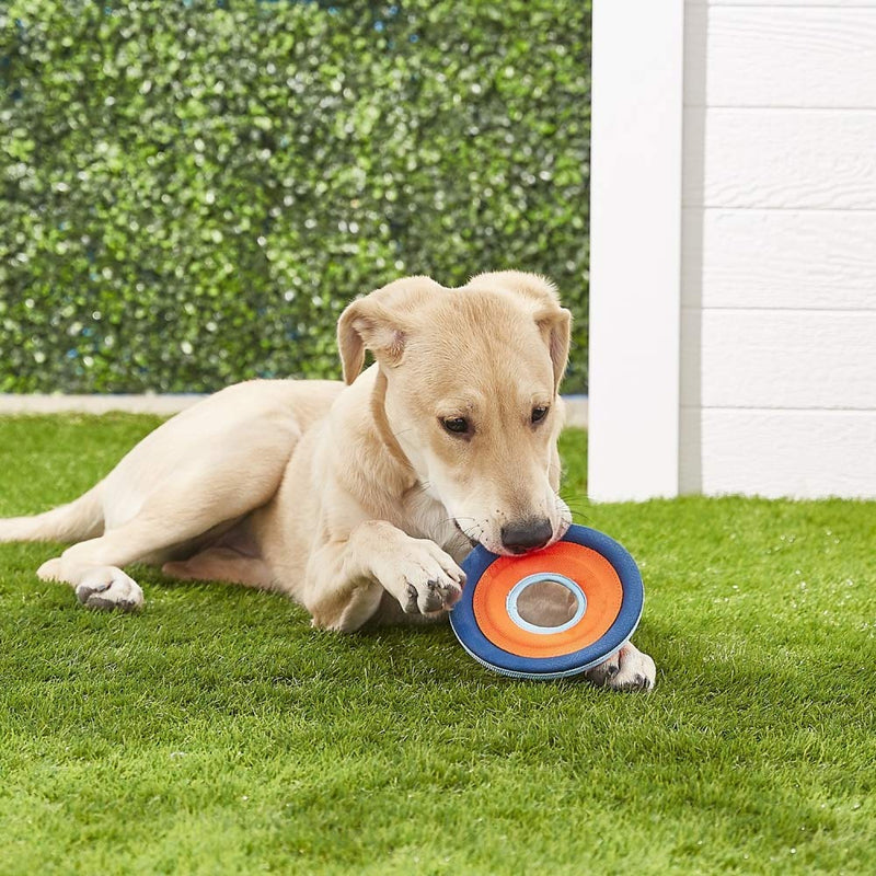 ChuckIt! Zipflight Flyer Dog Frisbee Toy Floats Small Assorted - PawsPlanet Australia