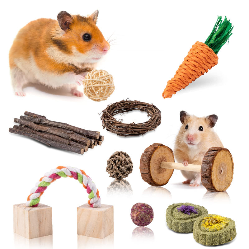 Woiworco 16 Packs Hamster Chew Toys Guinea Pig Toys Chew Molar and Exercise Toys, Natural Wooden Play Small Pets Exercise AccessoriesTeeth Care Molar Accessories for Cage - PawsPlanet Australia