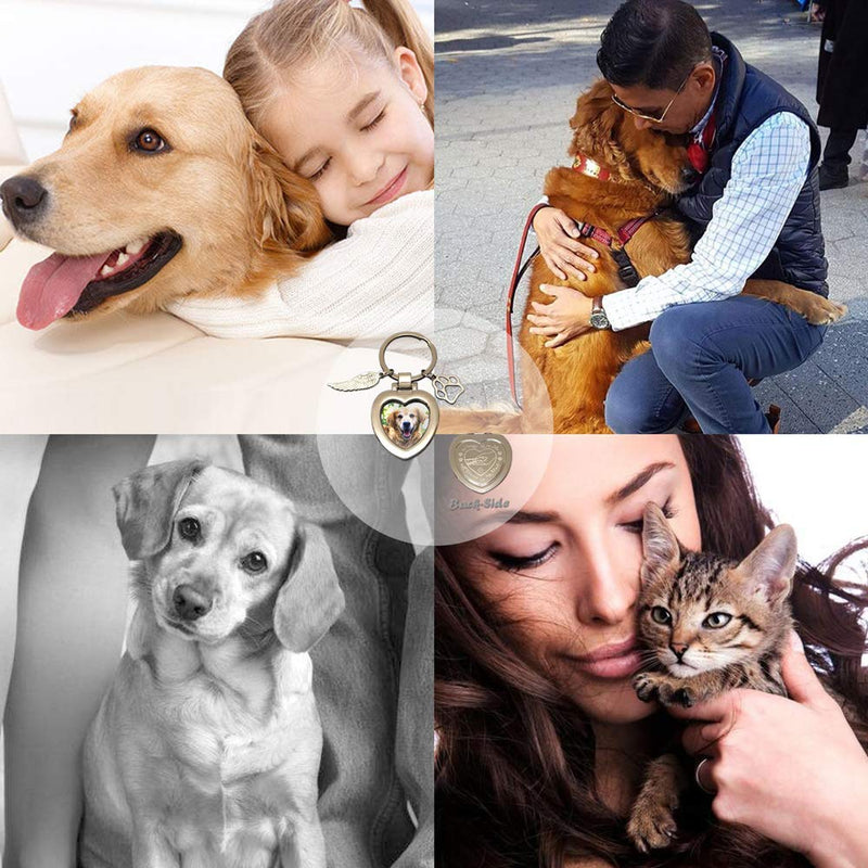 [Australia] - JOEZITON Pet Memorial Gifts Passed Away Personalized Family Picture Frame or Keychain Jewelry Angel with Paws for Loss of Dogs or Cats. Forever In My Heart 