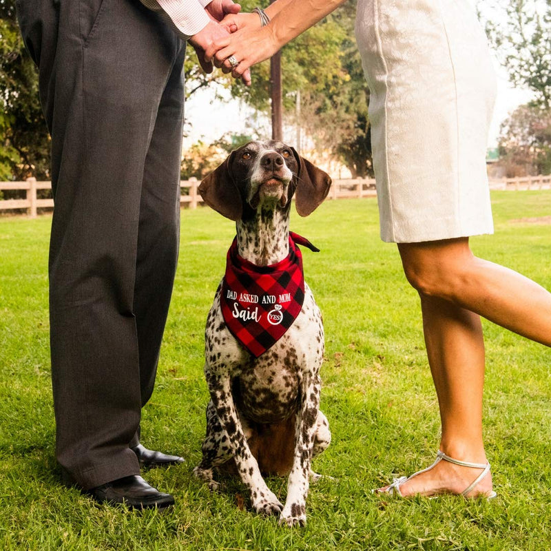 [Australia] - Willowear Dad Asked and Mom Said Yes Wedding Engagement Photos Bridal Shower Gift Puppy Dog Pet Bandanas Large Dad Asked and Mom Said Yes Red 