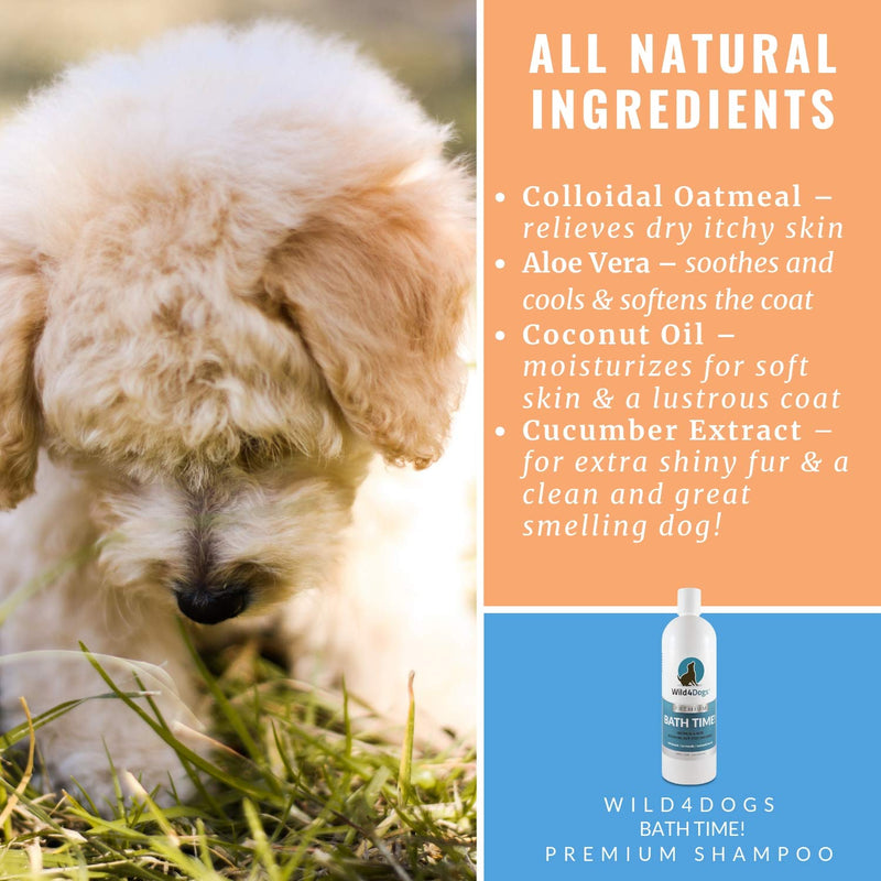 [Australia] - Wild 4 Dogs Premium Oatmeal & Aloe Shampoo for Dogs and Puppies - for a Fresh and Clean Dog - All Natural, No Harsh Chemicals, Relieves Dry Itchy Skin, Anti-Itch Shampoo 16 Ounce 