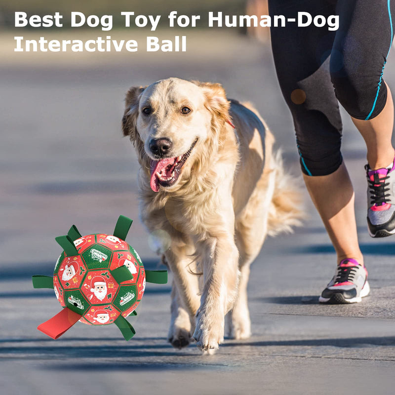 Dog Toys, HETOO Interactive Dog Football Toys with Grab Tabs,Dog Water Toy Indoor & Outdoor (Size 2-Christmas) Size 2-Christmas - PawsPlanet Australia